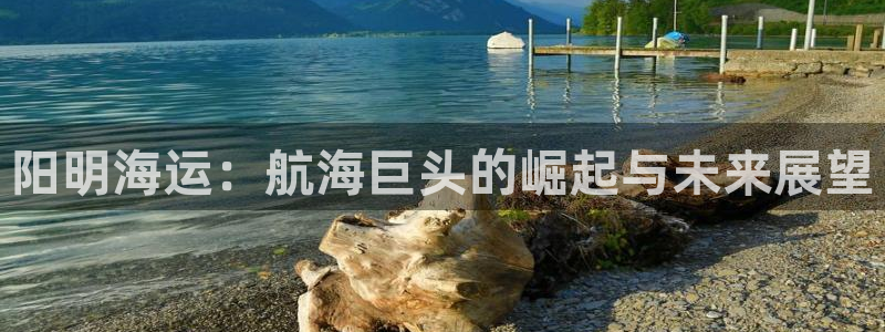 710公海赌赌船有总代理吗