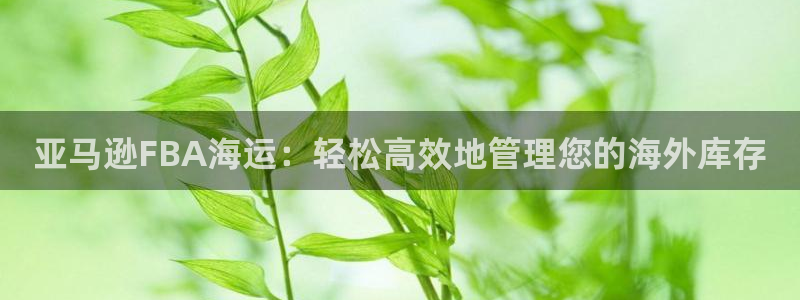 公海 赌船710手机版下载