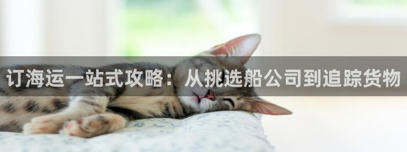 710公海赌赌船有总代理吗
