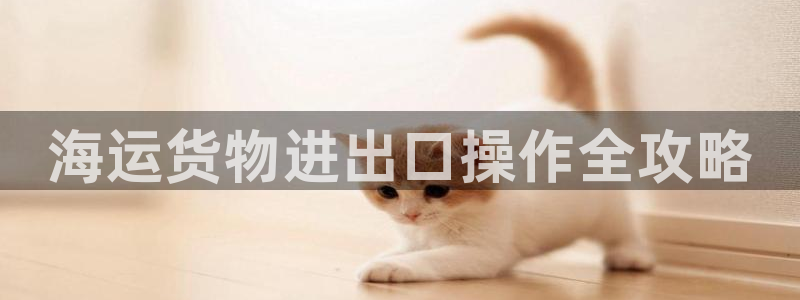 欢迎上船