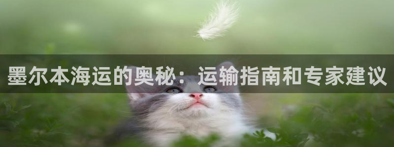 公海赌赌船官网图标