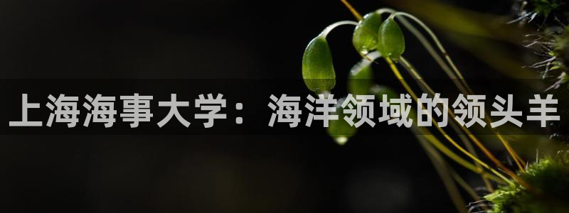 欢迎来公海欢迎来到船701