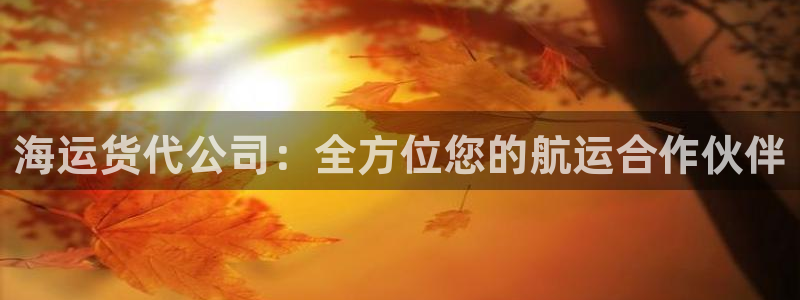 公海赌赌船手机下载