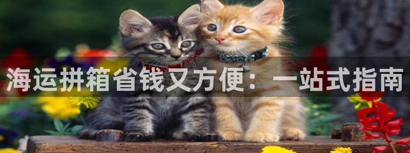 欢迎来公海欢迎来赌船欢迎